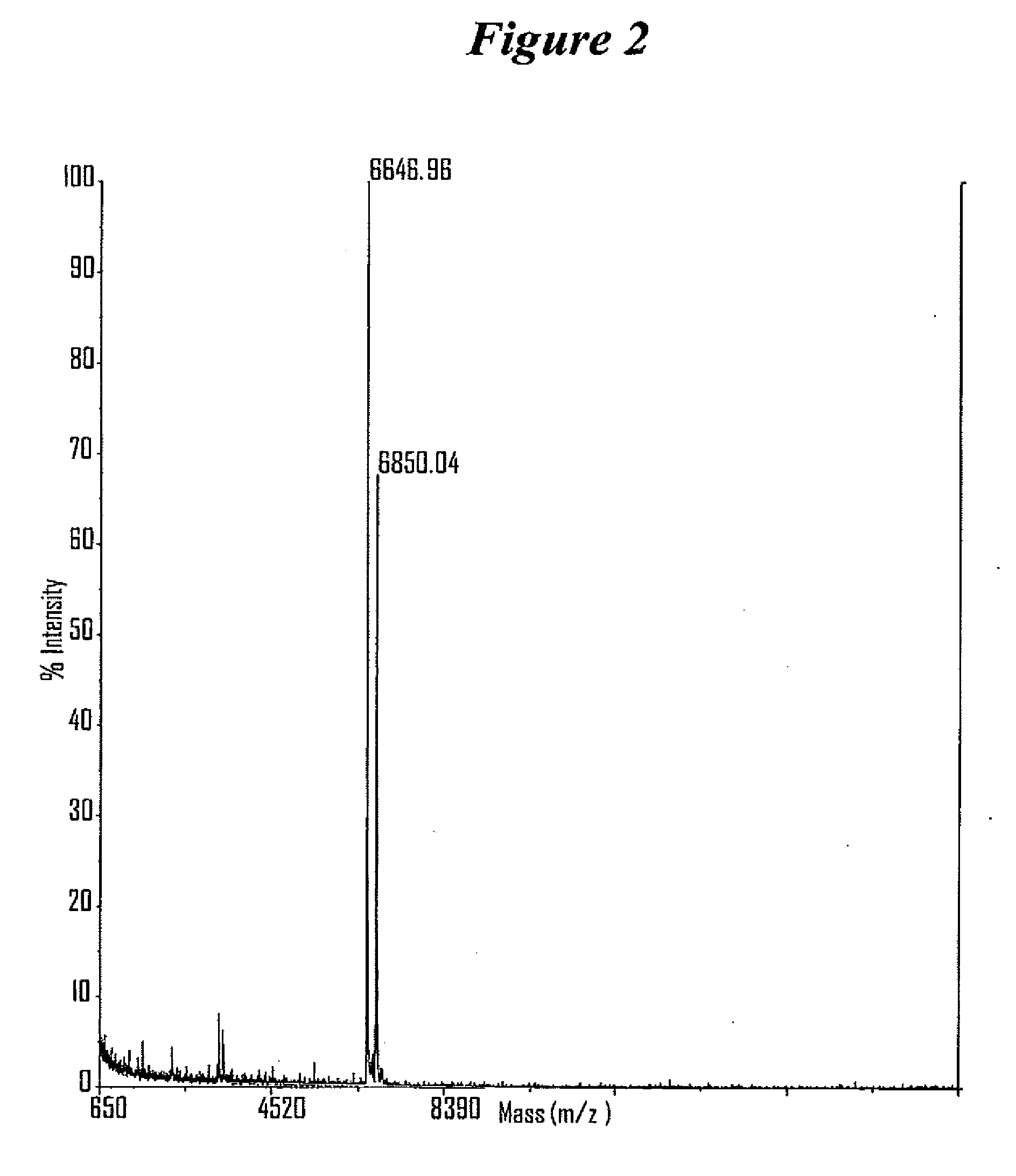 RNA INTERFERENCE MEDIATED INHIBITION OF MATRIX METALLOPROTEINASE 13 (MMP13) GENE EXPRESSION USING SHORT INTERFERING NUCLEIC ACID (siNA)