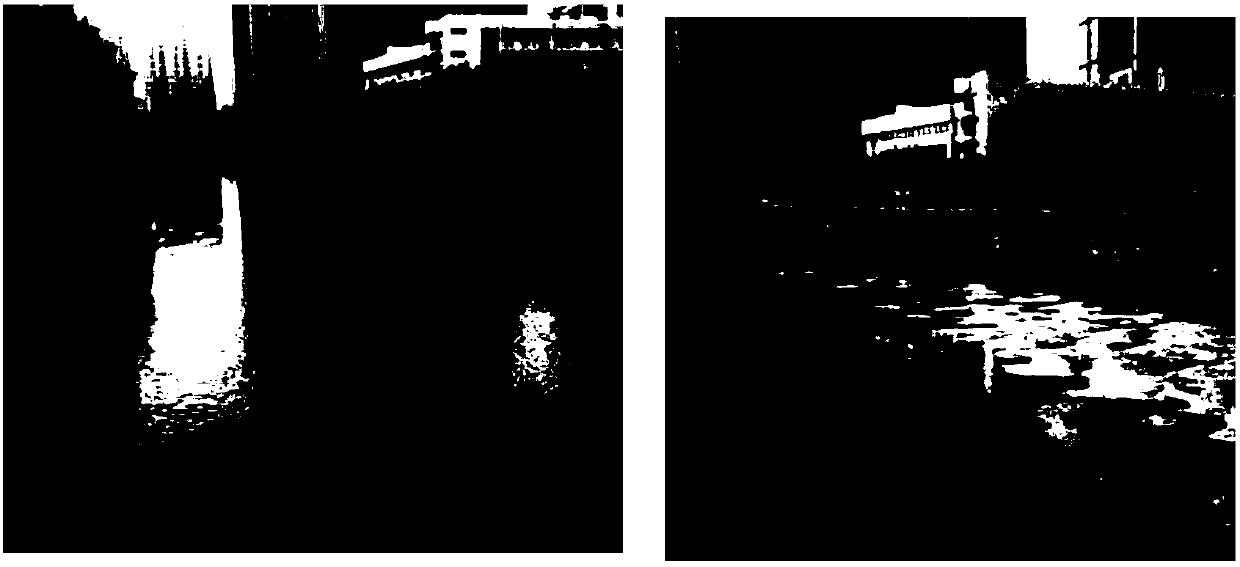 Mixed strain, strain vector and method capable of continuously degrading total phosphorus in black and odorous water in rivers