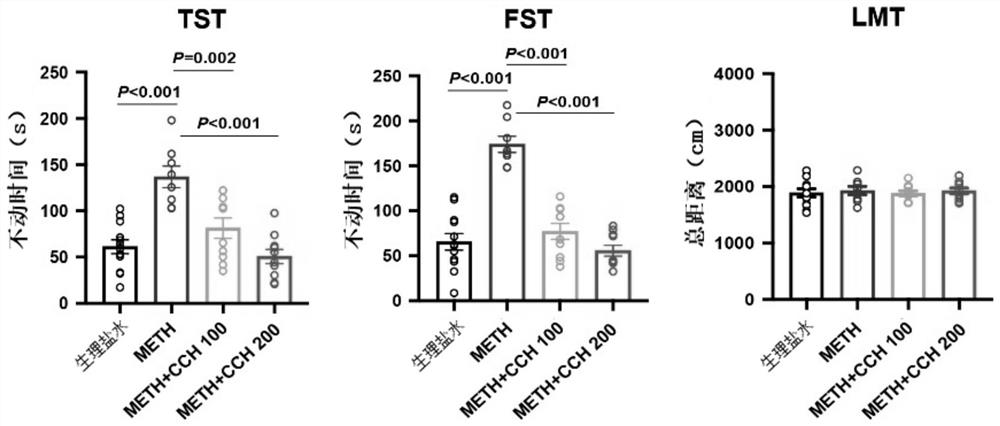 Application of hydrogen and hydrogenated coral calcium in preparation of medicines for treating hyperpyrexia and mental disorder caused by methylamphetamine