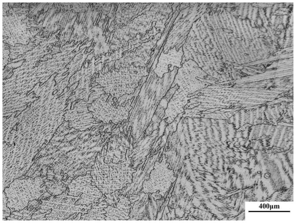 On-site metallographic film-coated test paper and preparation method and use method thereof