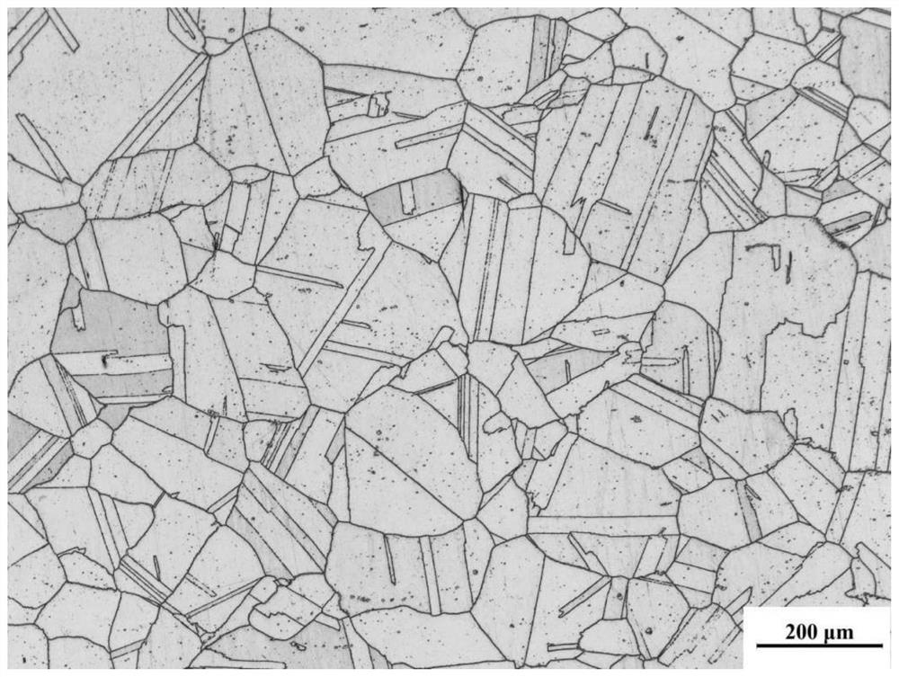 On-site metallographic film-coated test paper and preparation method and use method thereof