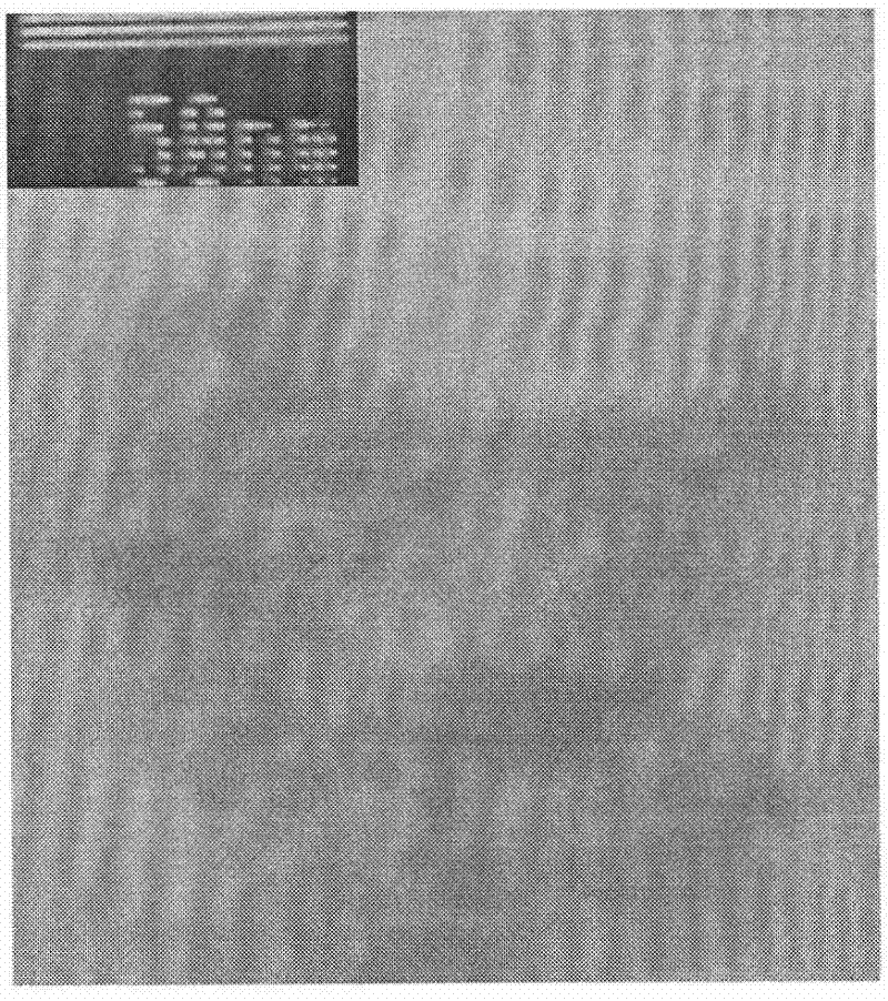 Preparation method of La-Ce (rhodium-cerium) codoped gama-Fe2O3 nanomaterial