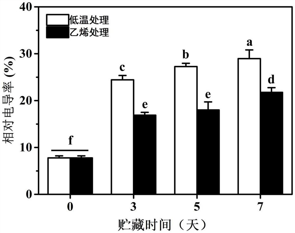 Plant growth regulator, treatment method for improving cold resistance of banana fruits and verification method