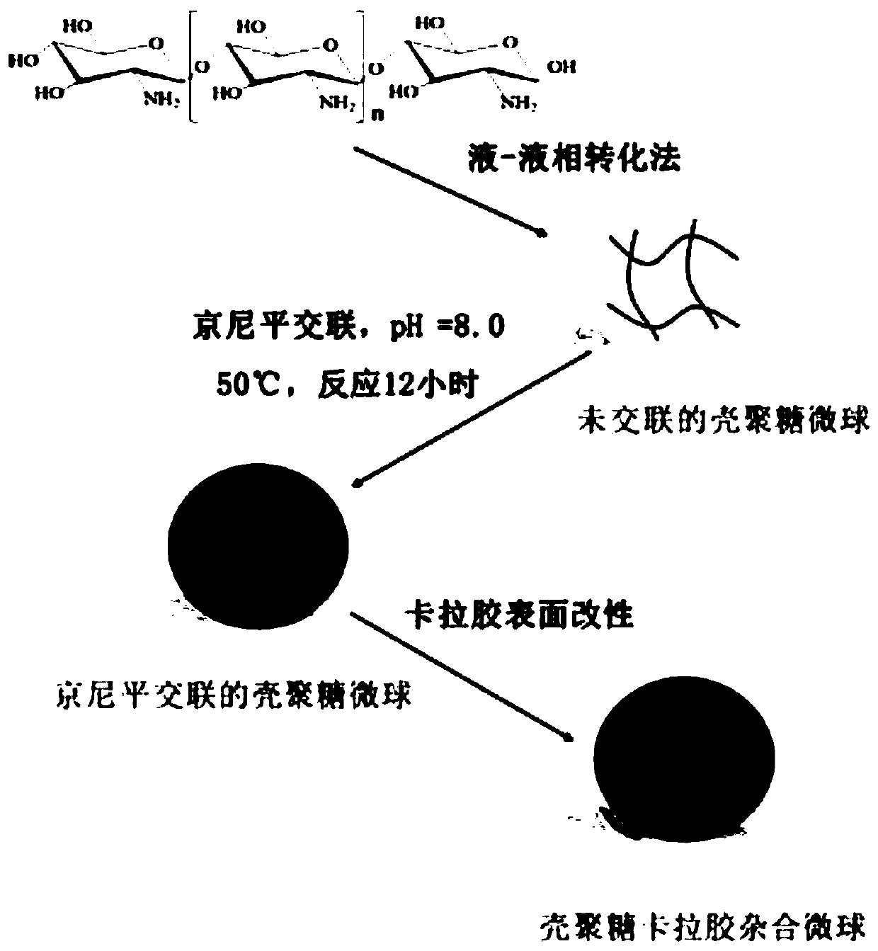 Self-anticoagulation hemoperfusion adsorbent based on chitosan and carrageenan, its preparation method and application