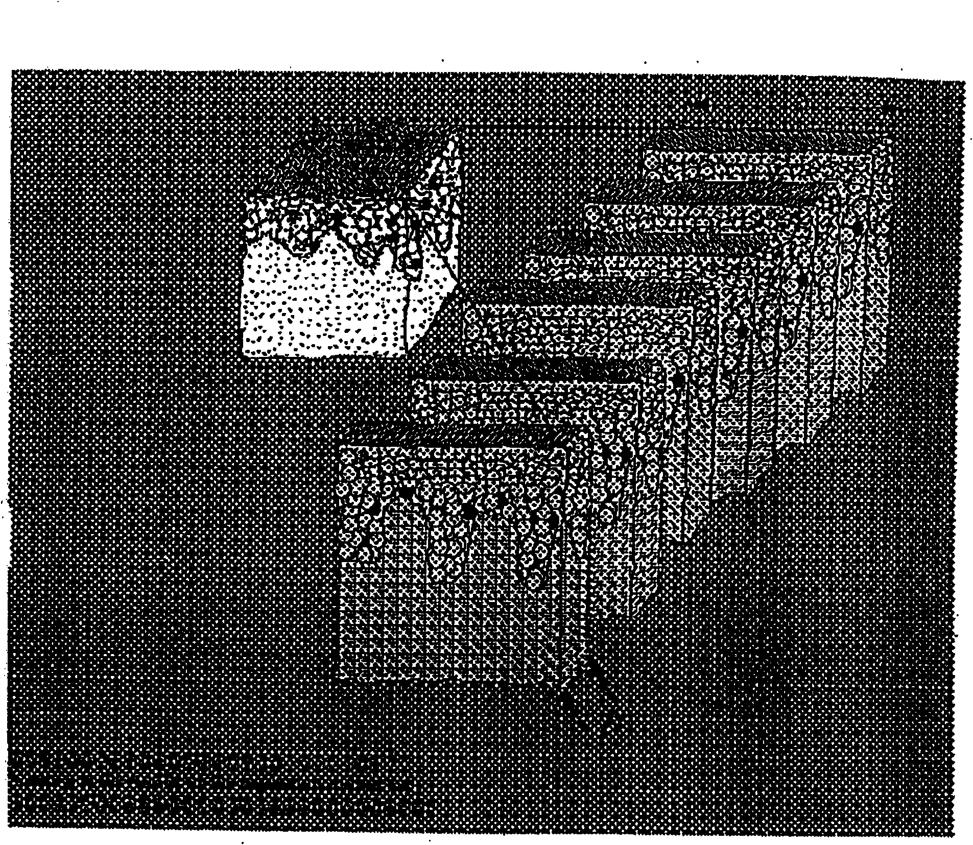 In-vitro micro organ and related use thereof