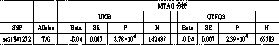 Kit for detecting juvenile osteoporosis based on rs11841272