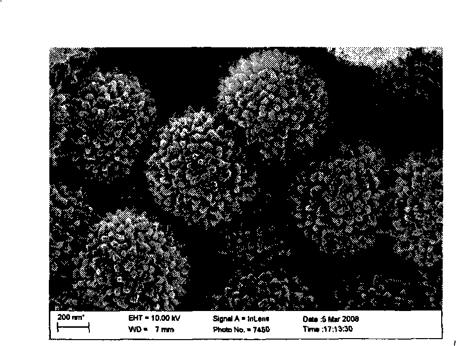 Process for producing sea urchin shaped polyaniline microsphere supported catalyst