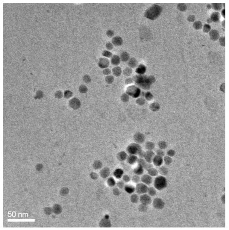 Targeted nano-drug delivery system for photothermal-sclerosis combined therapy