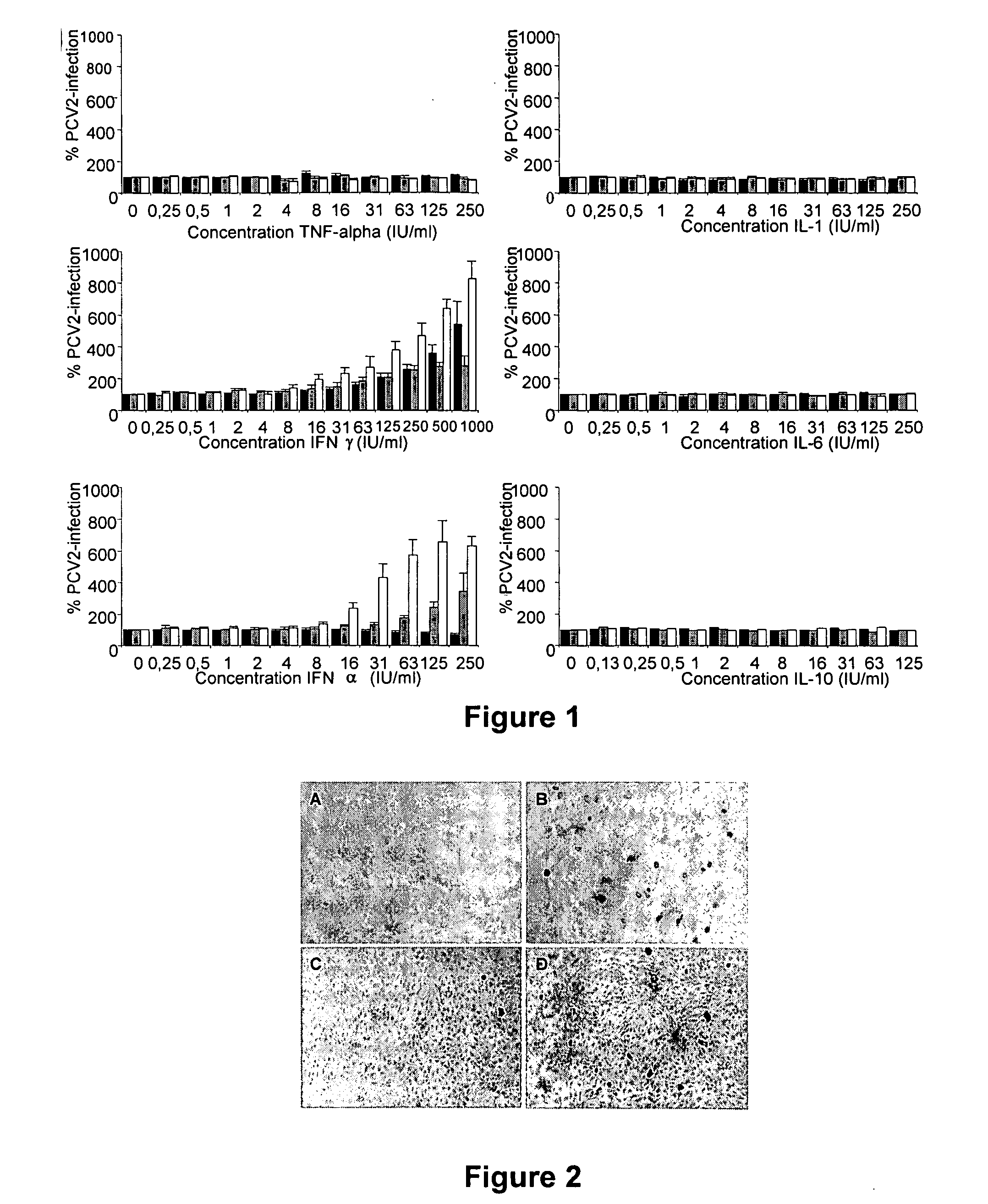 Culturing circular ssdna viruses for the production of vaccines