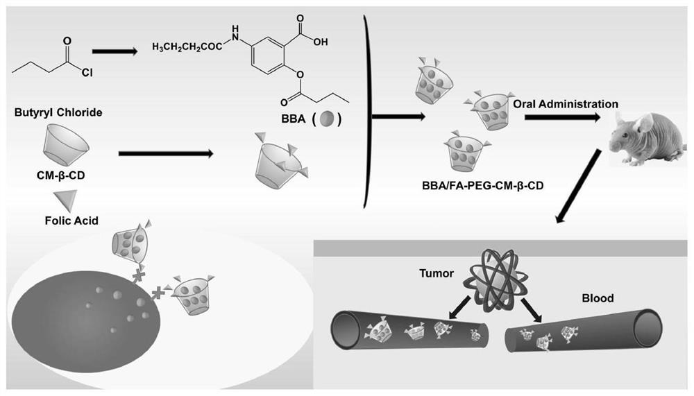 FA-mediated BBA/CM-beta-CD targeted drug delivery system as well as preparation method and application thereof