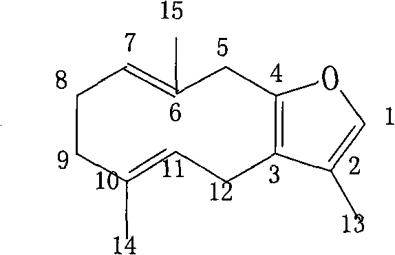 Furanodiene-containing medicinal composition, technology for preparing preparation thereof and medicinal use thereof