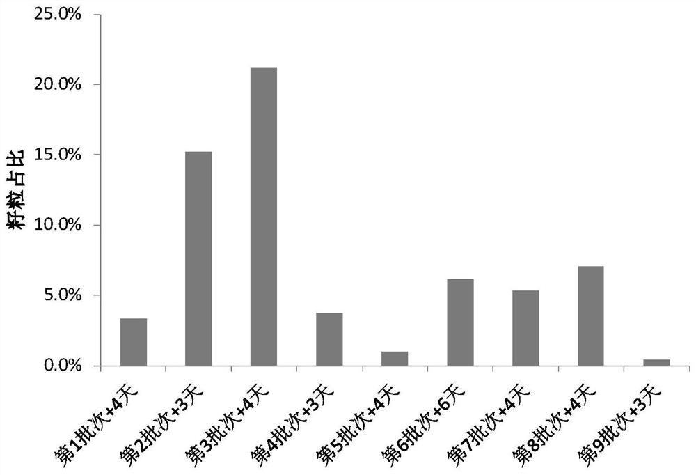 A Method for Measuring Grain Filling Dynamics of Rice