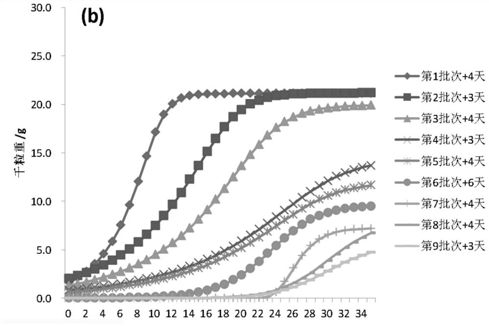 A Method for Measuring Grain Filling Dynamics of Rice