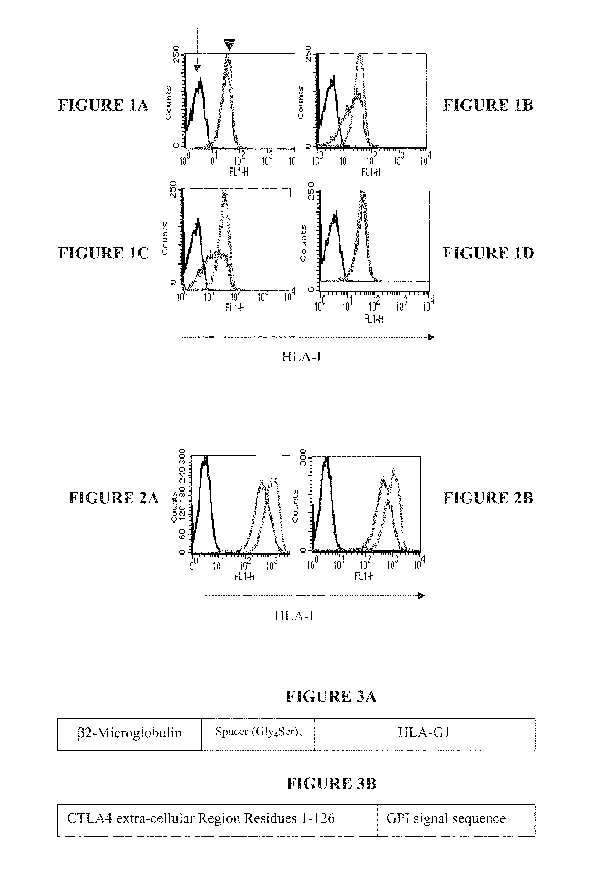 Immunotherapy using redirected allogeneic cells