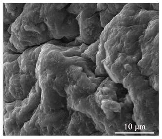 Elastic material and production method and application thereof