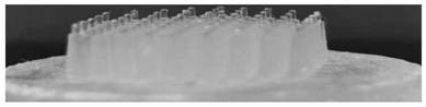 Strong hydrophilic microneedle base material, drug-loaded microneedle and application of drug-loaded microneedle in disease treatment