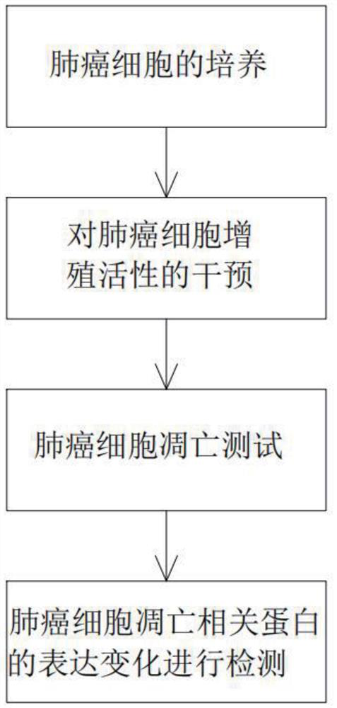 Application of platymonas selenized exopolysaccharide in lung cancer treatment