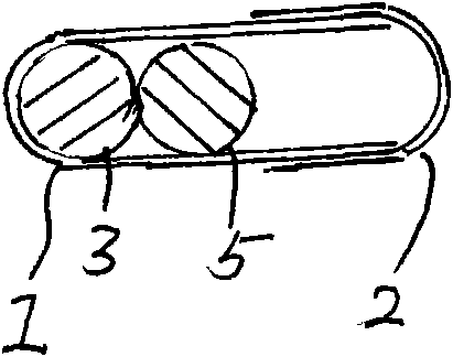 Tablet capsule containing clopidogrel hydrogen sulfate salt tablets and acetylsalicylic acid tablets