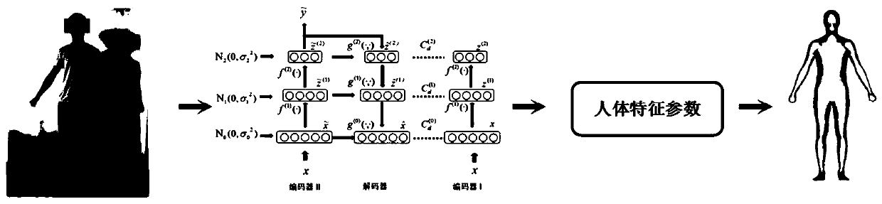 Human body characteristic parameter prediction method based on semi-supervised learning