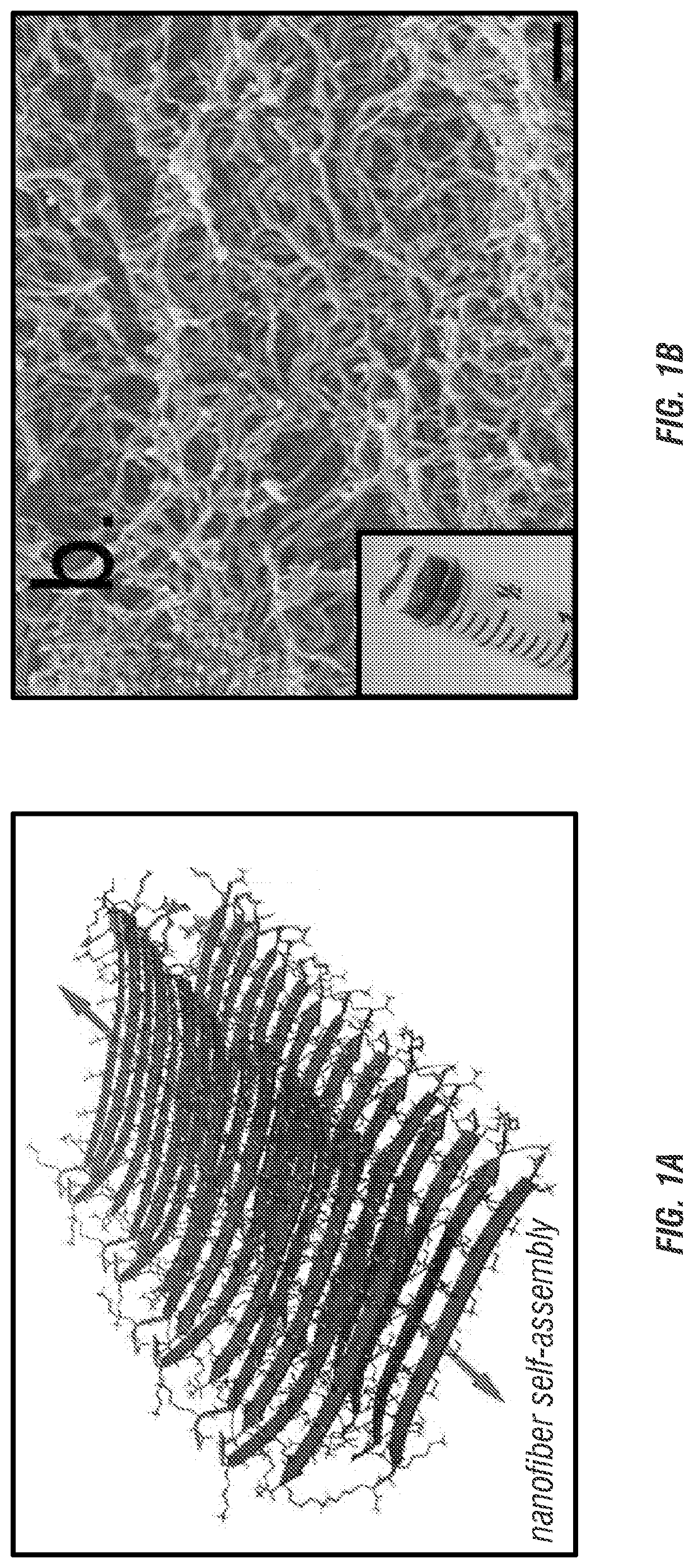 Hydrogel delivery of sting immunotherapy for treatment cancer