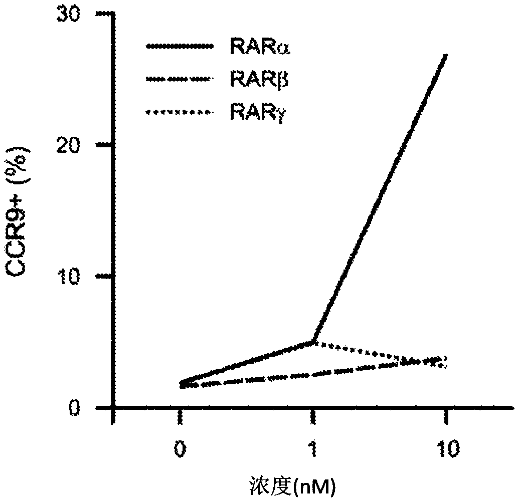 Receptor selective retinoid and rexinoid compounds and immune modulators for cancer immunotherapy