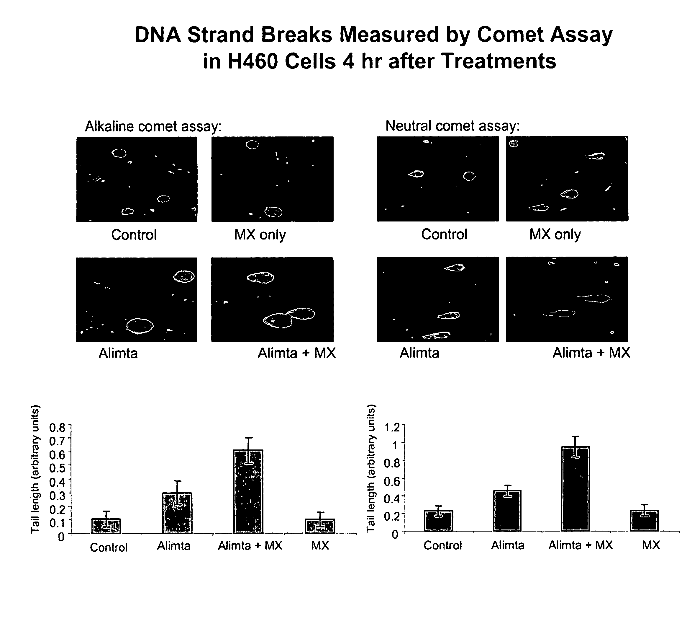 Antifolate agent combinations in the treatment of cancer