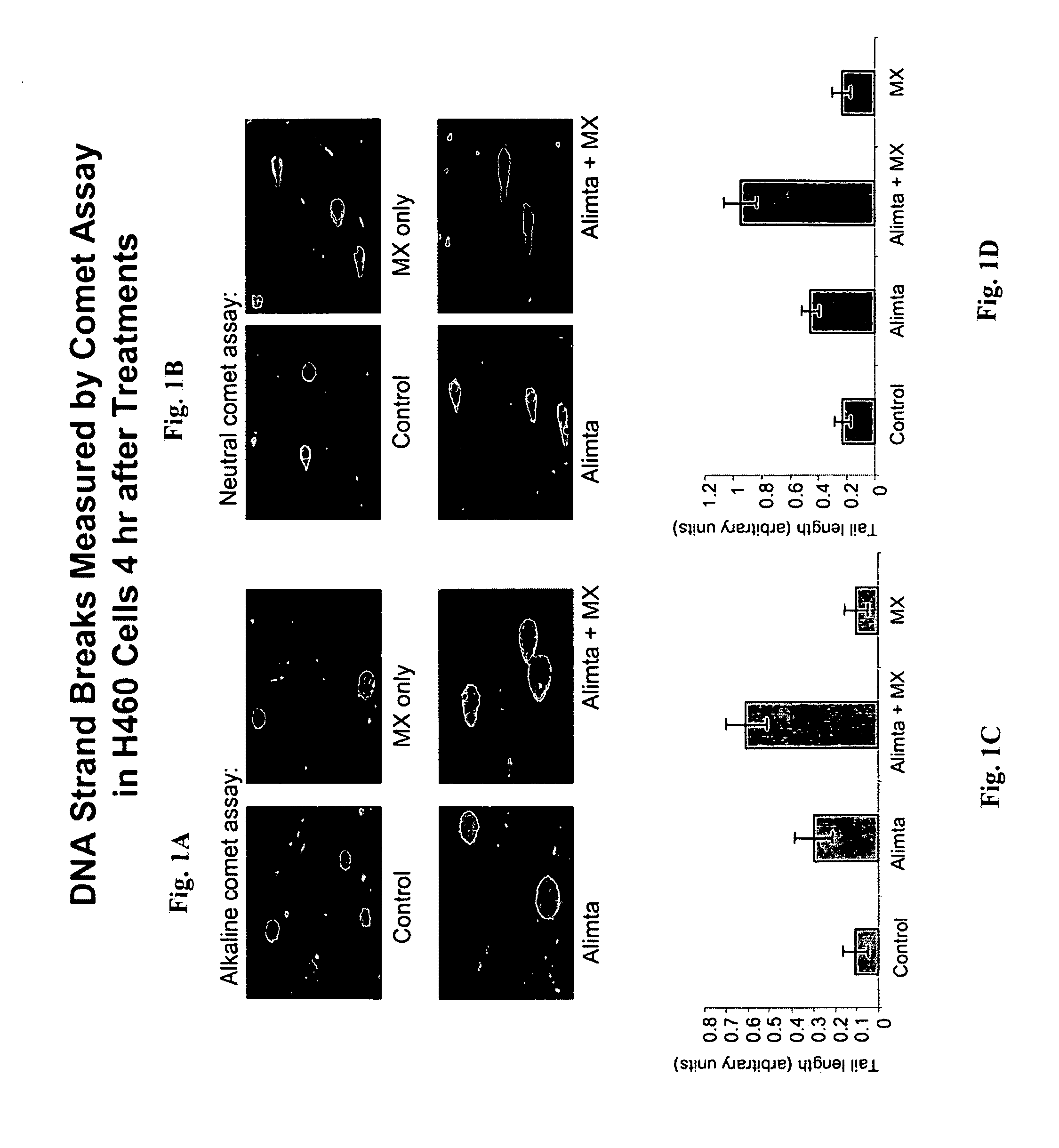 Antifolate agent combinations in the treatment of cancer