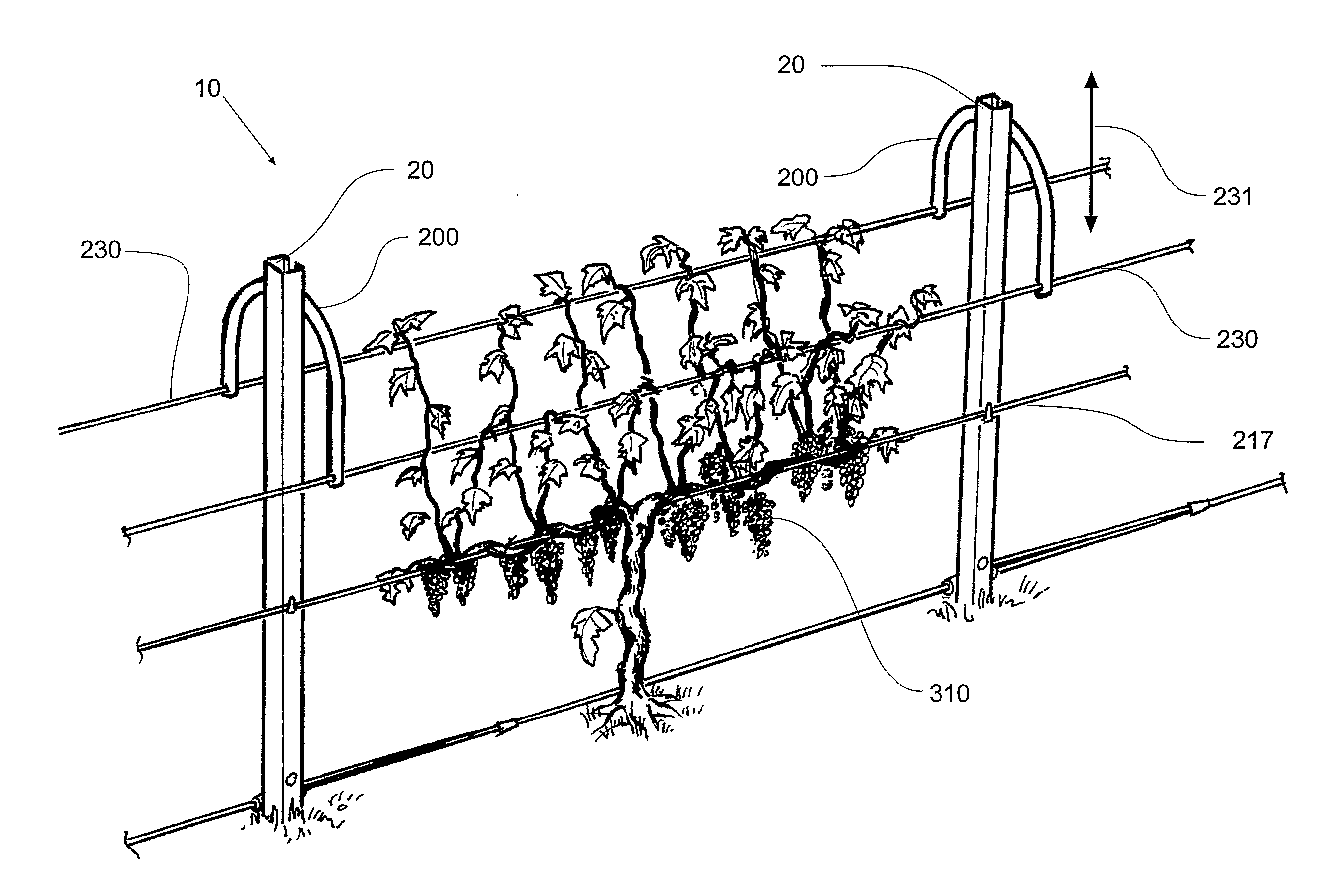 Foliage lifter