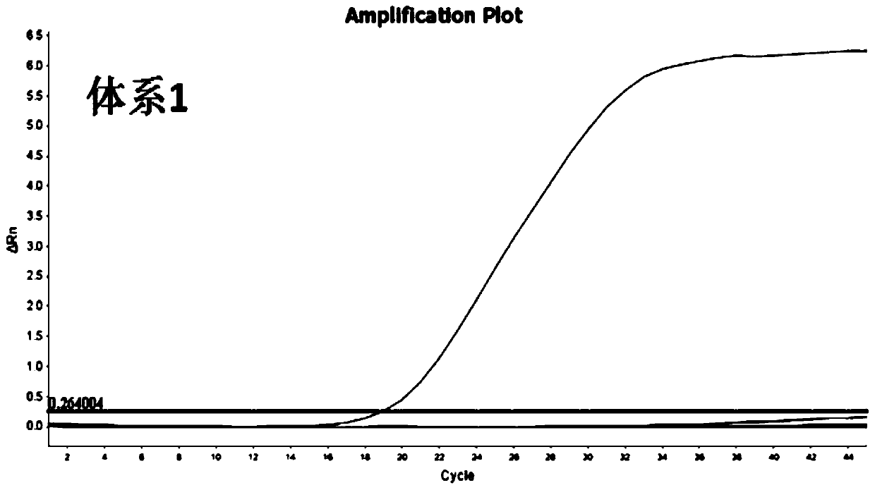 Dual-target site inverse-transcription fluorescent PCR primers, probes and kits for detection of 2019 new coronavirus