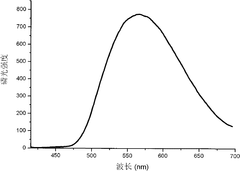 Magneto-optical dual-mode molecular image probe and preparation method thereof