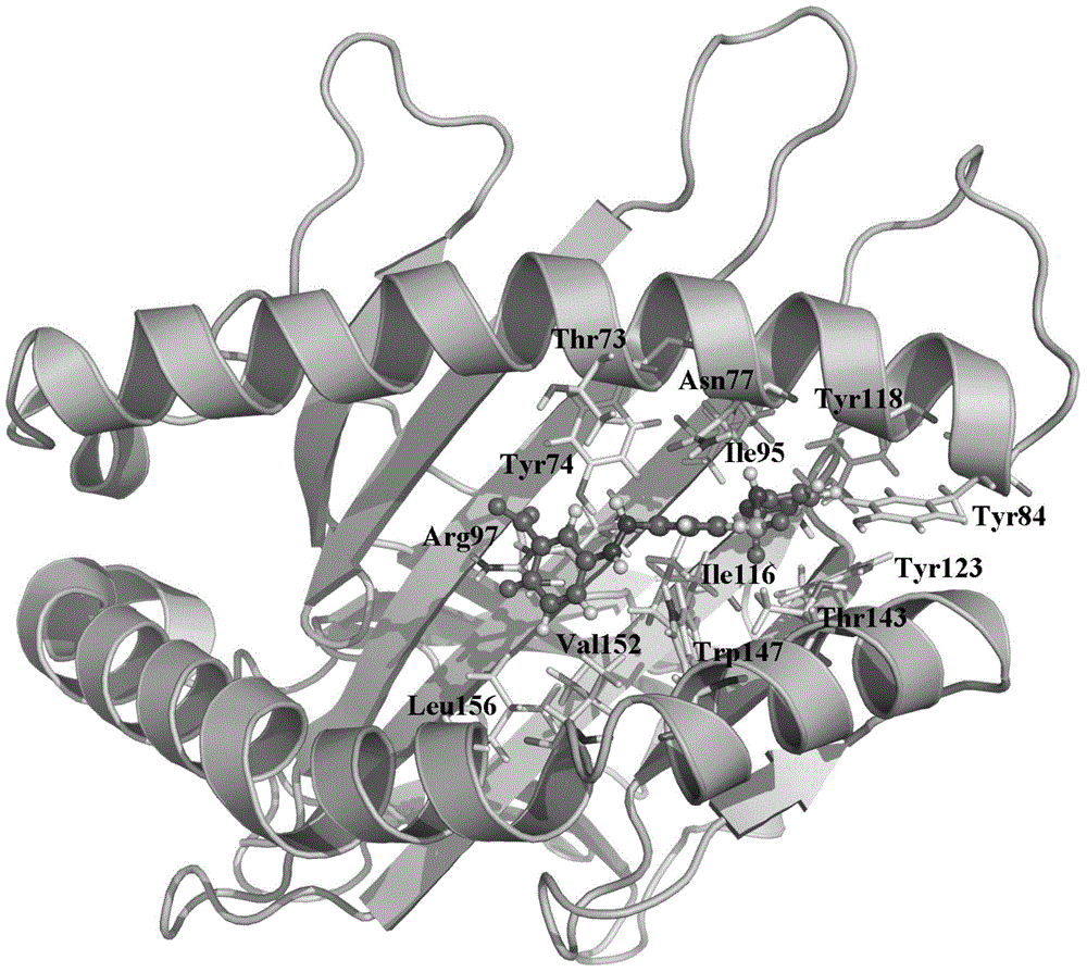 Human leukocyte antigen gene detection kit for screening skin drug adverse reactions caused by salazosulfapyridine