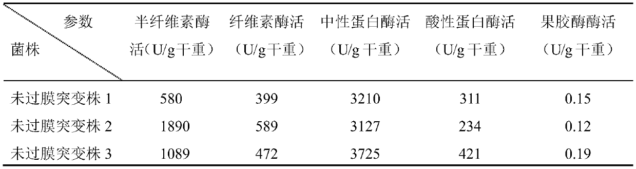 Mutagenization method for Aspergillus oryzae with hereditary stability