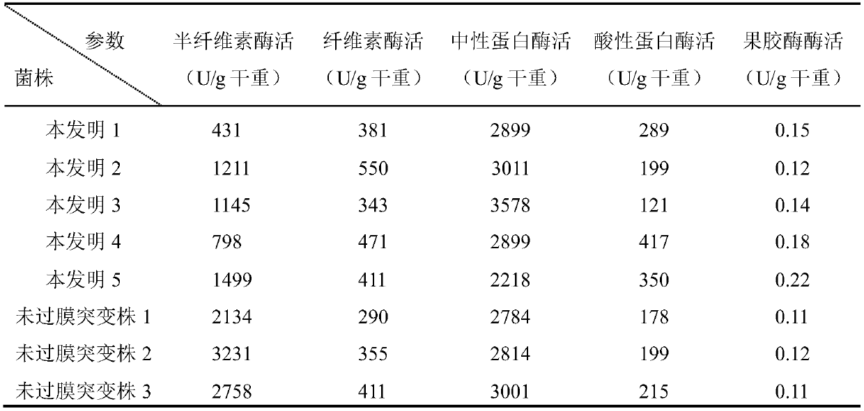 Mutagenization method for Aspergillus oryzae with hereditary stability