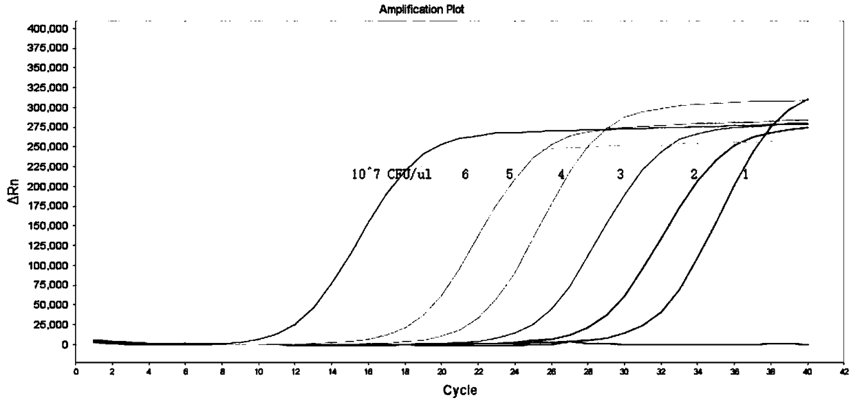 Detection kit of 16 food born pathogenic bacteria