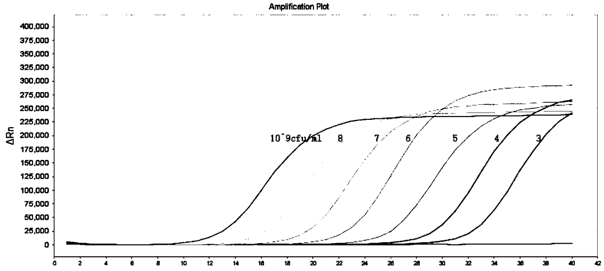 Detection kit of 16 food born pathogenic bacteria