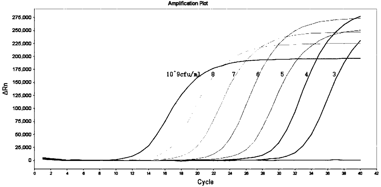 Detection kit of 16 food born pathogenic bacteria