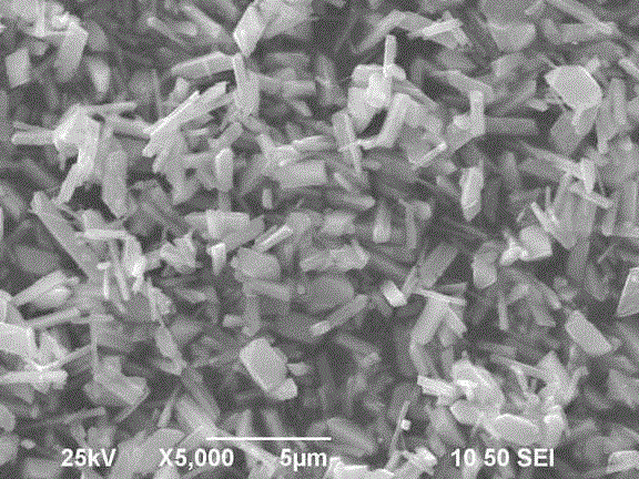 Biomimetic Synthesis of Size-Controllable Prismatic Bismuth Phosphate Photocatalyst