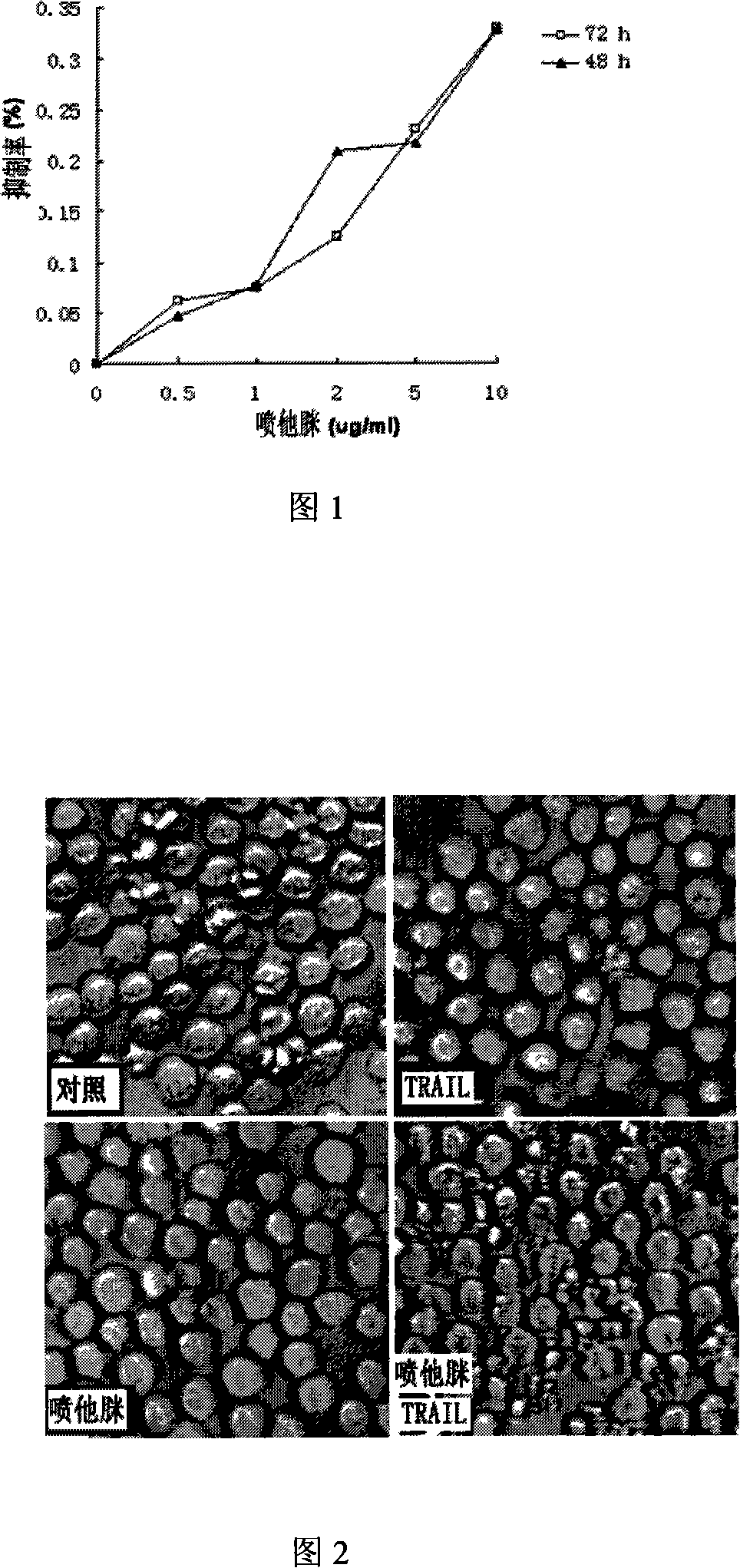 Pentamidine and death domain receptor ligand united application