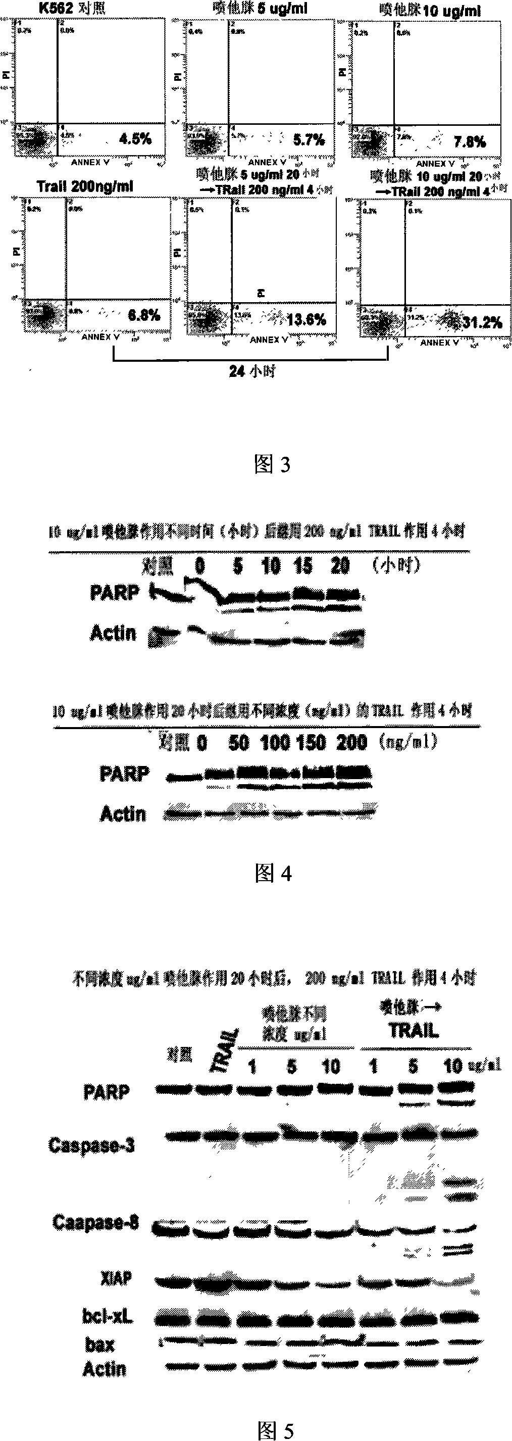 Pentamidine and death domain receptor ligand united application