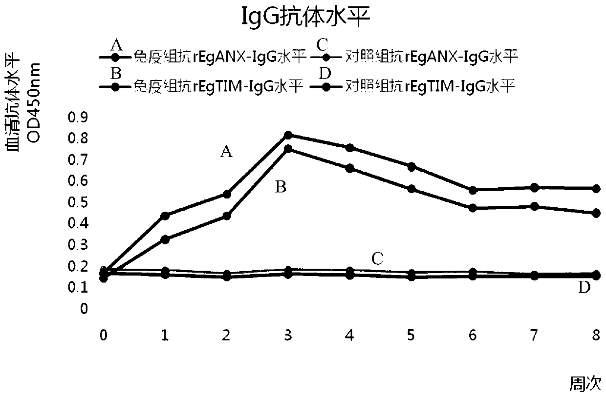 Combination protein and application thereof