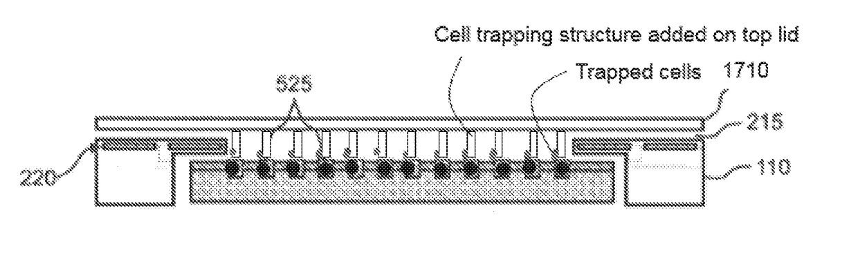 Digital microfluidic system for single-cell isolation and characterization of analytes