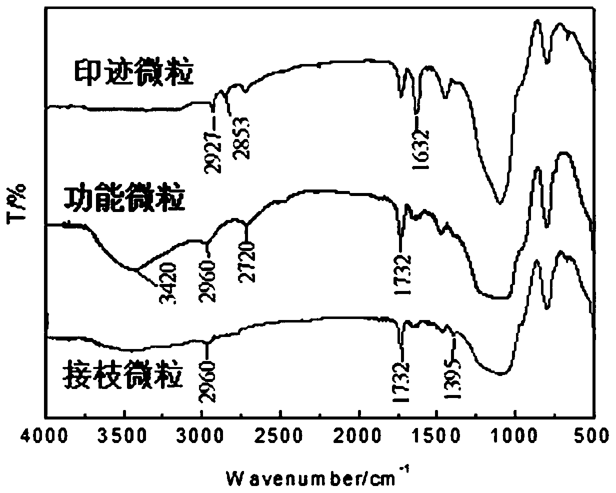 A kind of high-performance rosmarinic acid molecular surface imprinted particles and preparation method thereof