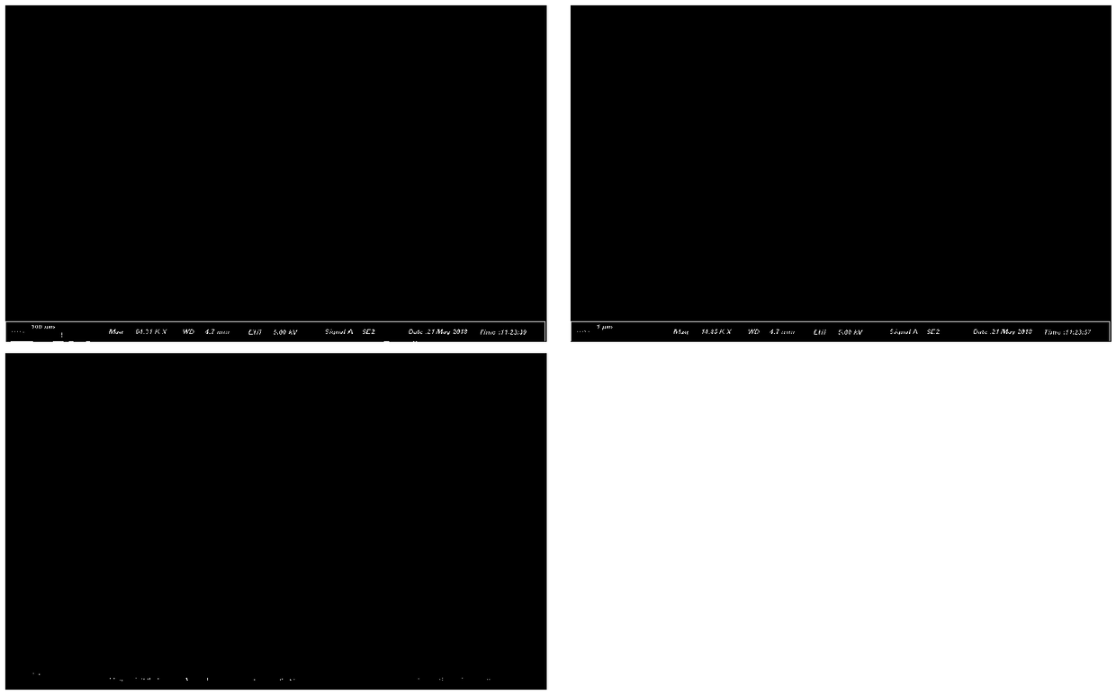 Preparation method of Y0.95F3:0.05Tb&lt;3+&gt; nano particle fluorophor