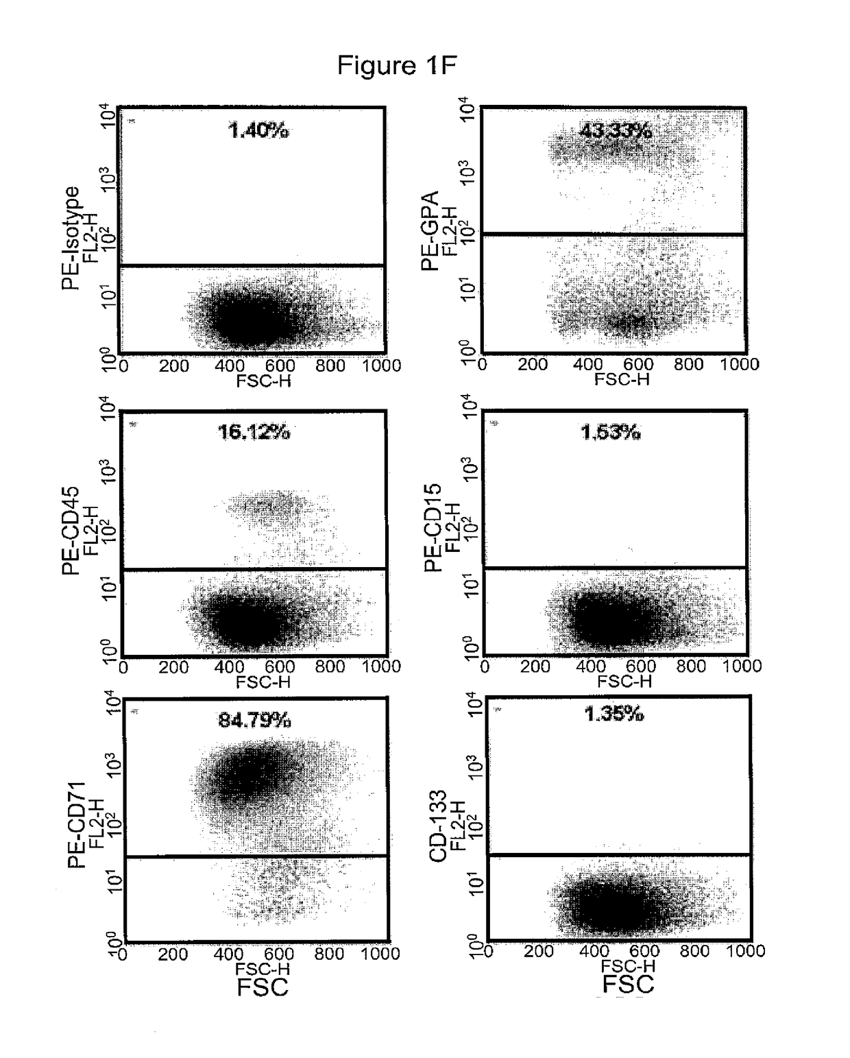 Methods for producing enucleated erythroid cells derived from pluripotent stem cells