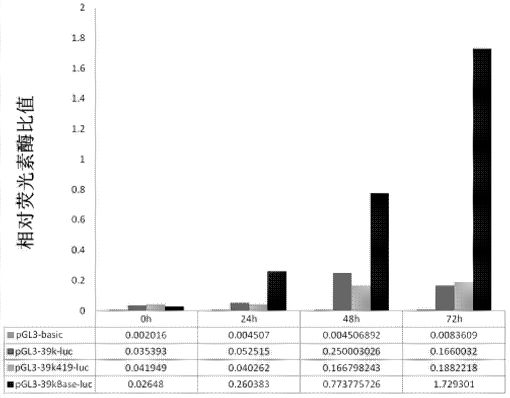 Enhanced bombyx mori nuclear polyhedrosis virus inducible promoter En39k and application thereof