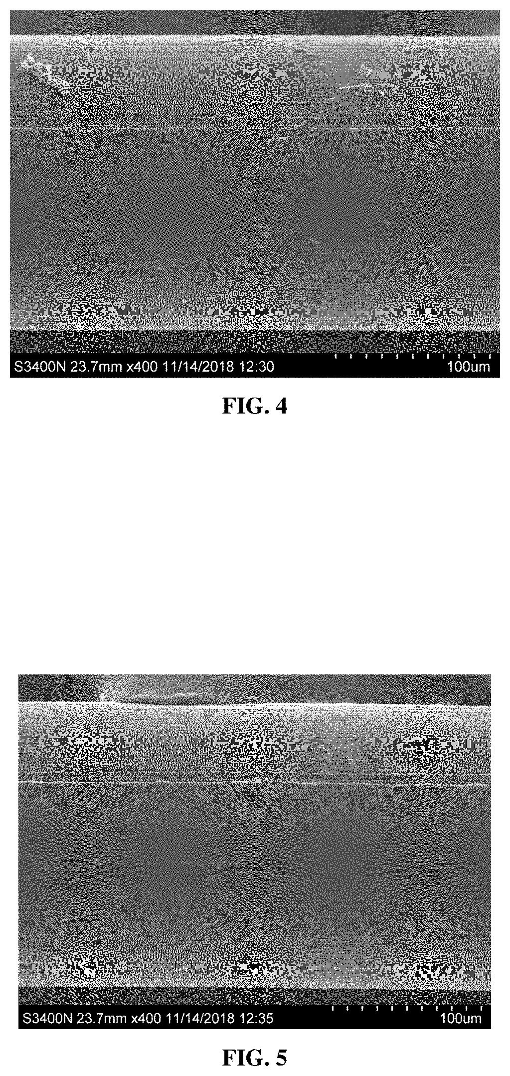 Articles of poly(butylene succinate) and copolymers thereof