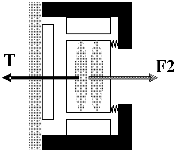 Camera module, electronic device containing camera module and automatic focusing method