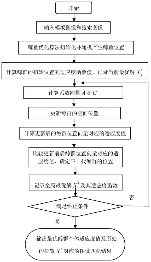 Fast Image Matching Method Based on Whale Optimization Algorithm and Gray Relational Analysis