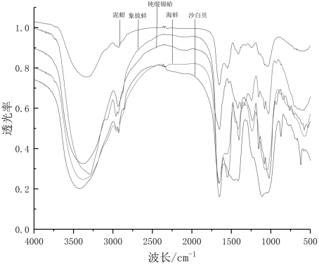 Shellfish heparin with mild anticoagulant effect and its preparation method and application