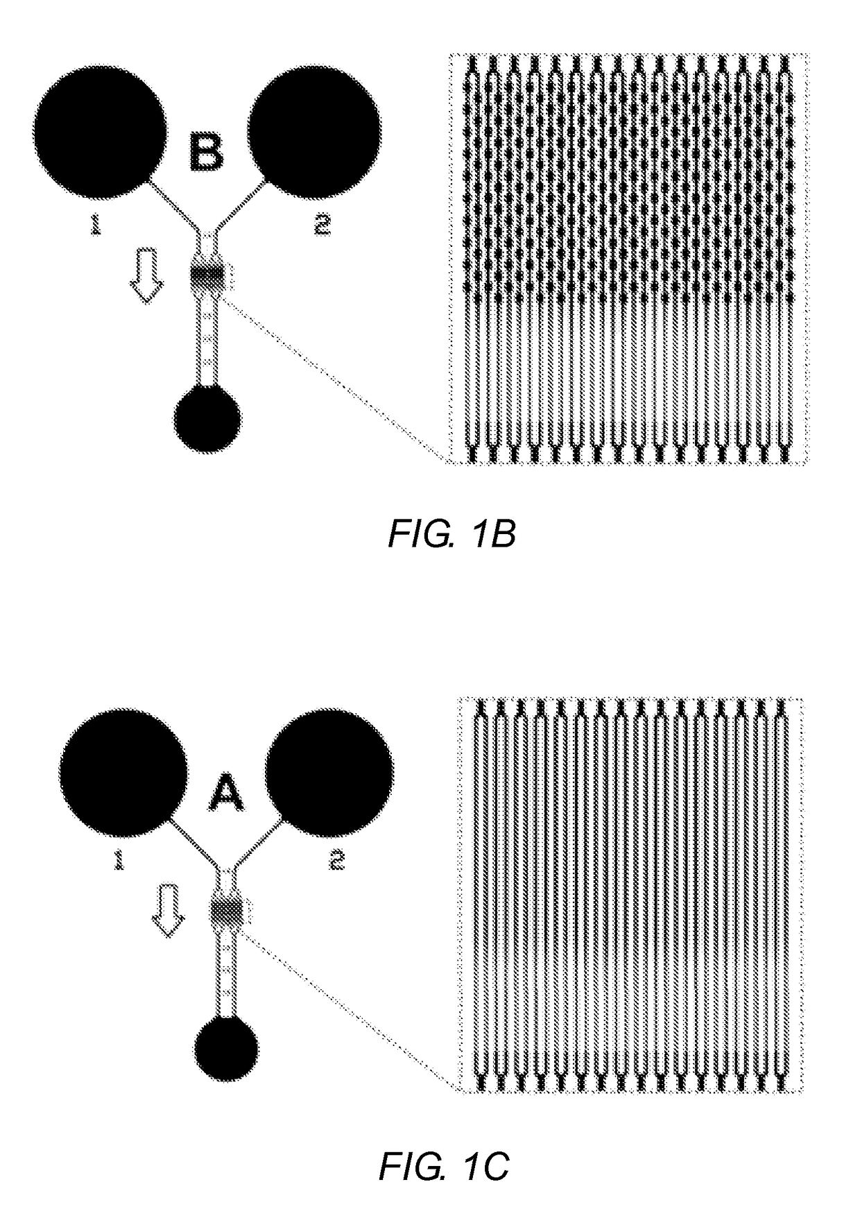 Capillary network devices and methods of use